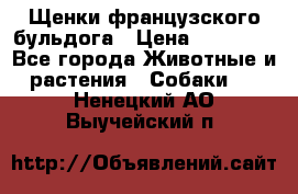 Щенки французского бульдога › Цена ­ 30 000 - Все города Животные и растения » Собаки   . Ненецкий АО,Выучейский п.